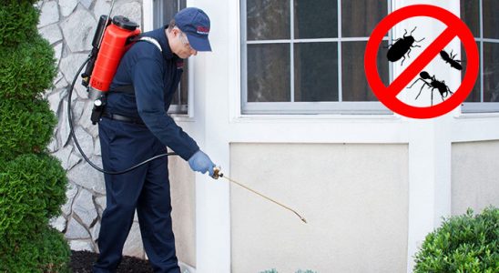 Mengen Tahtakurusu İlaçlama böcek ilaçlama ve haşere kontrolü — ilaclama-tr.com